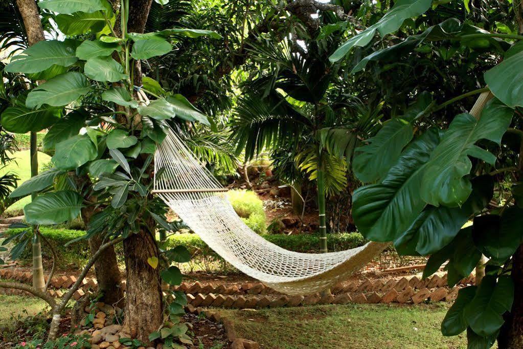 Nirvana Hermitage Anjuna Exterior photo